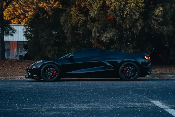 Sticky Wilds Casino Android/iOS App